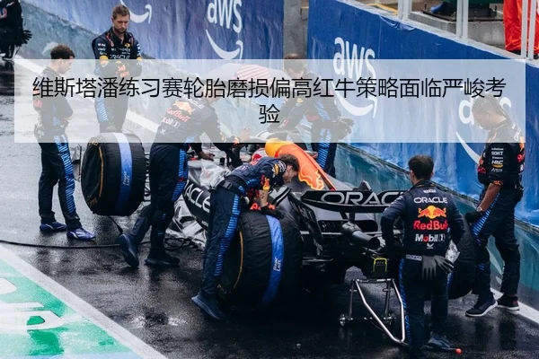 维斯塔潘练习赛轮胎磨损偏高红牛策略面临严峻考验